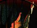 Crazy Horse выступили в Киеве