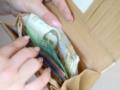Госстат обнародовал данные инфляции за июнь: украинцам должны проиндексировать зарплату