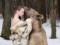 Девушки и медведь: Российские модели снялись в зимней фотосессии