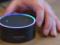 Amazon возглавила рынок Wi-Fi-колонок, опередив прежнего лидера Sonos