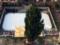 В центре Нью-Йорка установили главную елку страны