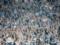 Фанаты  Динамо  провокационным баннером поблагодарили Суркиса за ничью с  Яблонцем  в Лиге Европы