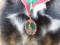 Поднятый флаг, команда  Смирно! : в Мариуполе прошла необычная церемония вручения боевой награды гвардейцу