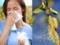 Аллергия на цветение: каких растений стоит опасаться