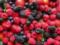 Какие ягоды самые полезные для здоровья легких