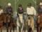 В Австралии лошади помогают военным справиться с посттравматическим синдромом