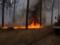 На Луганщине продолжается тушение 7 очагов пожаров