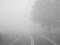 Синоптики предупреждают о тумане и ухудшении видимости на дорогах