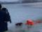 В Киеве спасатели из-под льда достали пса