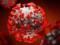 «Ахиллесова пята» коронавируса: ученые выяснили, как победить болезнь