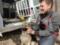 На Харьковщине спасли собаку, которая неделю провела на замерзшем водоеме