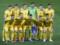 Кто будет представлять Украину на Евро-2020: 10 динамовцев, 7  горняков , финалист ЛЧ и лучший ассистент Серии А