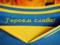 Украина достигла компромисса с УЕФА относительно дизайна формы сборной