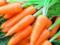 Польза молодой моркови