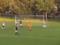 В Шотландии пес выбежал на поле и спас команду от гола: курьезное видео разлетелось по Сети