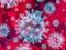 Специалисты назвали основные признаки коронавируса