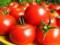 Эксперты рассказали, почему нужно употреблять помидоры