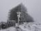 Синоптики розповіли, коли в Україні очікується перший сніг