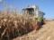 Аграрии Харьковщины собрали почти 5 млн тонн зерна