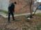У Сумській області на вулиці виявили триметрового пітона