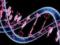 Ученые нашли генетическую причину острого лимфобластного лейкоза