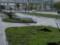 На проспекті Гагаріна у Харкові ентузіаст висадив алею сакур