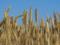 Кулеба сомневается, что разблокирование экспорта зерна состоится в ближайшее время - Bloomberg