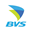 Bvs