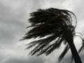 На США обрушился тропический шторм Синди