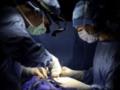 В Польше врачи спасли девочку, которая повредила мозг вилами
