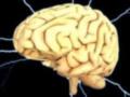 Ученые поделились эффективным способом улучшить память