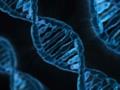 В Штатах расшифруют ДНК миллиона человек
