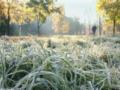 Сентябрь в Украине завершается прохладой и ночными заморозками