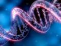 Ученые приблизились к редактированию ДНК