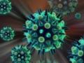 Учёные открыли многообещающие антивирусные компоненты