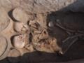 В Казахстане археологи обнаружили пару, которую захоронили 4000 лет назад
