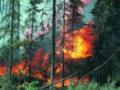 На Канарах объявили наивысший уровень угрозы природных пожаров