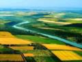 Украинским фермерам дадут дешевые кредиты на покупку земли