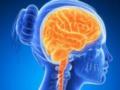 Самостоятельная настройка активности мозга в альфа-диапазоне улучшила внимание