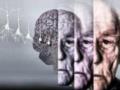 Распространенную деменцию предложили лечить антибиотиком