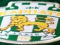 Карпаты официально заявили о готовности создания Народного клуба