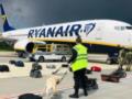 Гендиректор Ryanair рассказал о давлении на пилотов компании после принудительной посадки в Минске