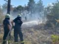 На территории Национального заповедника  Хортица  вспыхнул пожар