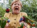 Вулкан и Меркель с попугаями: фото дня