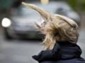 В Украине объявлено штормовое предупреждение: порывы ветра будут достигать 25 м/с