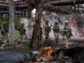 Военных РФ и технику перебрасывают из Мариуполя на другие участки фронта