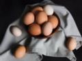 Стало известно, сколько будут стоить яйца летом