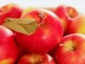 Гипоаллергенные яблоки: наука меняет картину аллергии