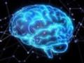 Математическая функция для диагностики заболеваний мозга: Новые возможности научного исследования