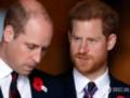 Принц Уильям разозлился на брата Гарри из-за визита в Украину и сделал выговор своей службе безопасности: что случилось